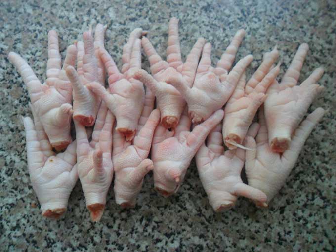 chicken-paws